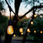 Girlanda świetlna 10 m z żarówkami filamentowymi LED, dekoracja oświetleniowa na event w plenerze, wynajem Nieporęt